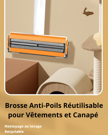 Rouleau Anti-Poils 2-en-1 pour Animaux